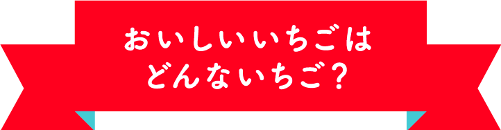 おいしいいちごはどんないちご？